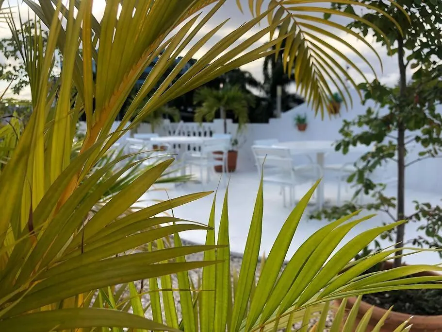 Moka.House Lägenhet Santo Domingo